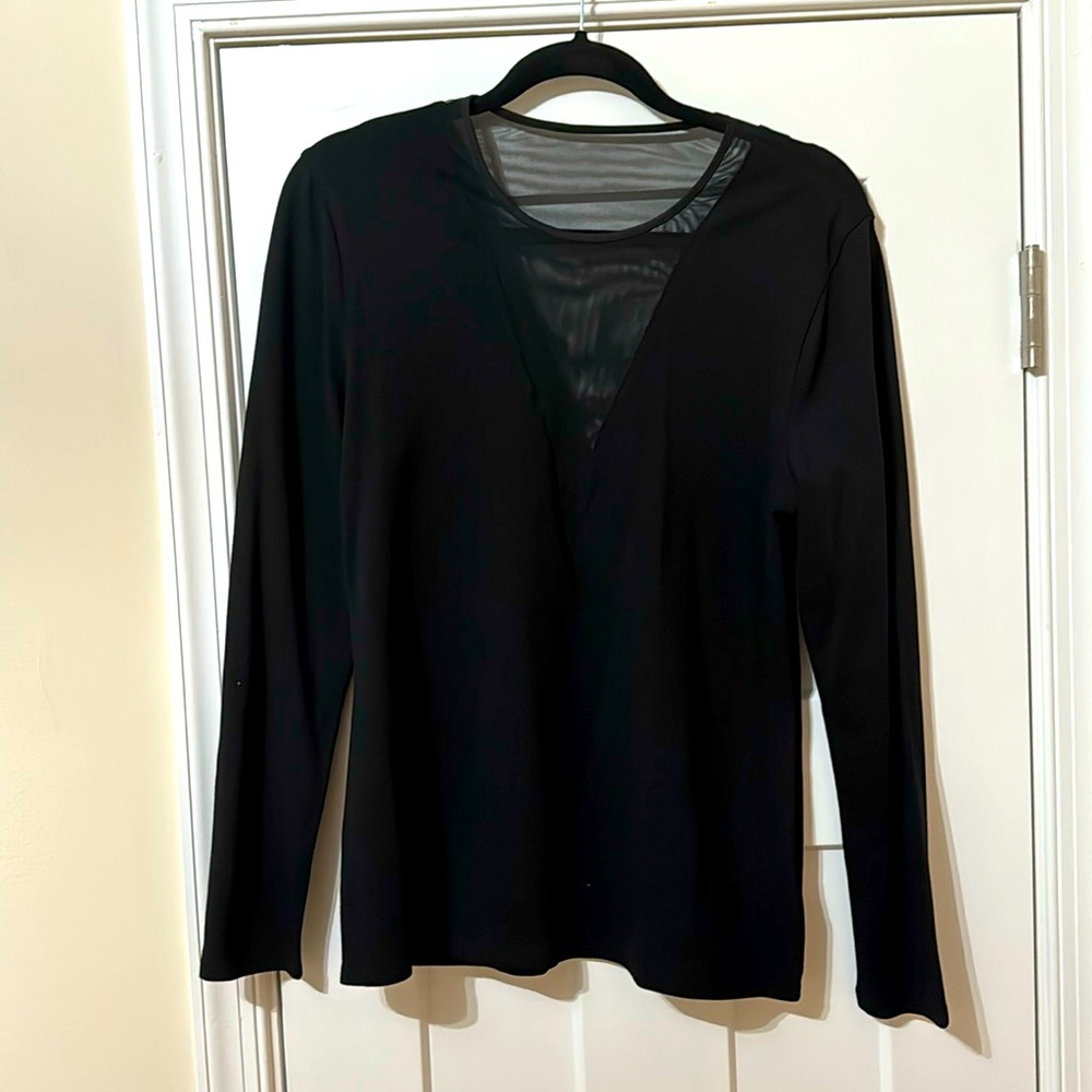 Express Large Sheer V front and back